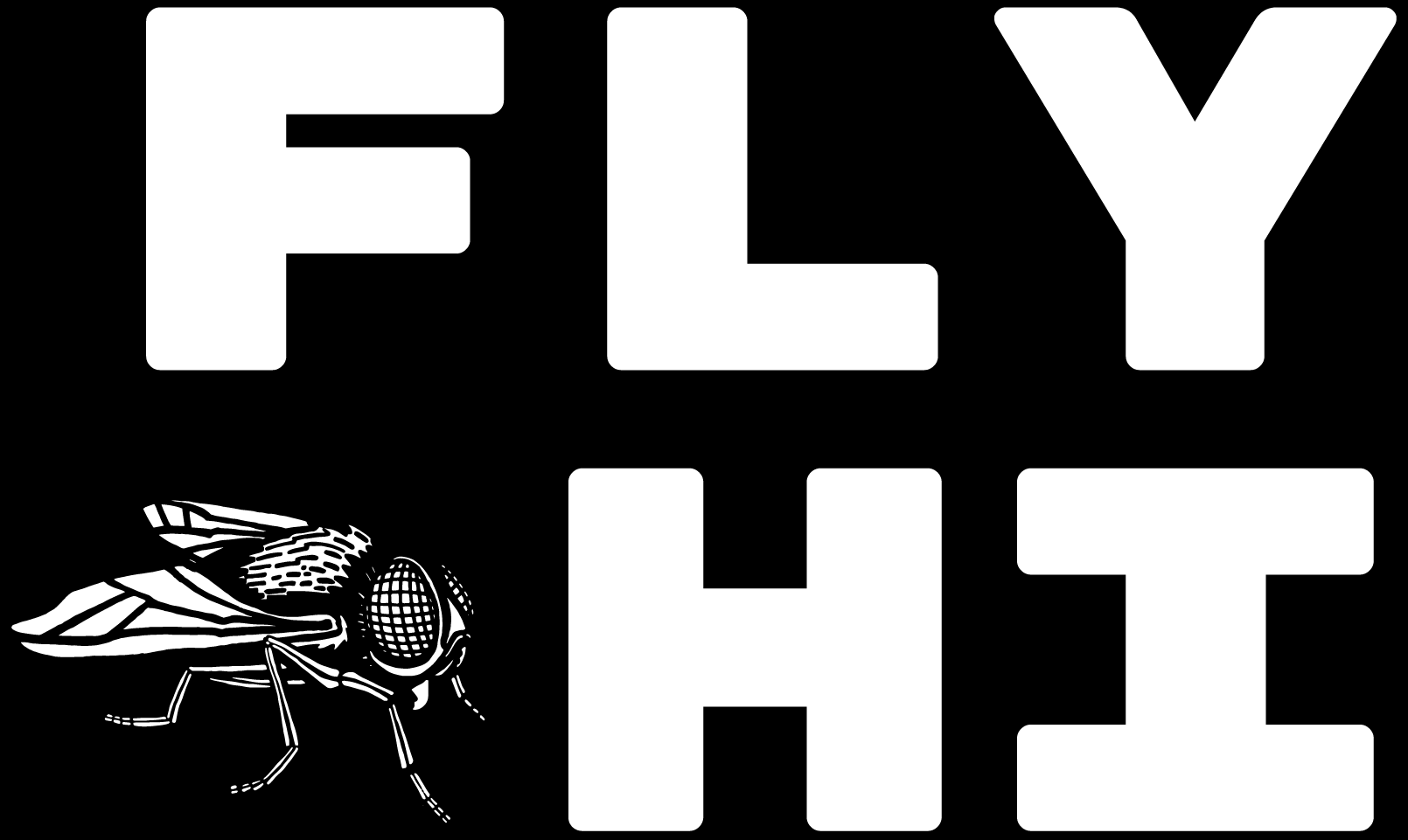 FlyHi Studio Argentina