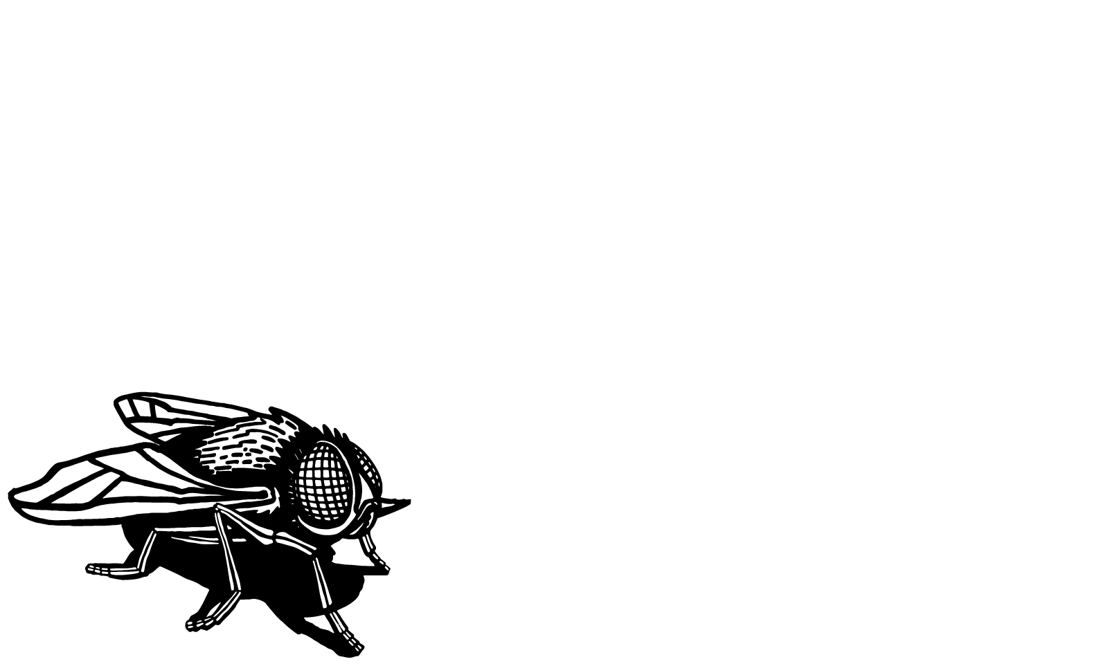 FlyHi Studio Argentina